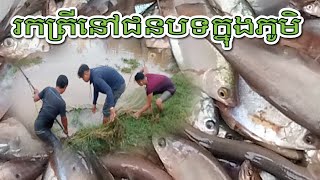 រកត្រីនៅជនបទក្នុងភូមិ Finding fish in the countryside in the village