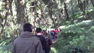 櫻桃姐姐旅行團-2011-12-18-10-49-15