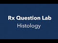 Rx Question Lab - Histology Edition