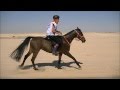 FEI World Endurance Championship Abu Dhabi YR & J 2011