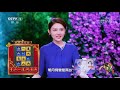 中国诗词大会 这首诗能重燃你的理想 cctv