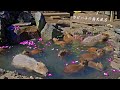 4k 8k 2 capybara at izu shaboten zoo in shizuoka 2023