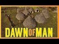 Let's Play DAWN OF MAN Ep. 4 :: Upgrading Every Building! :: Advancing Through The Neolithic Era