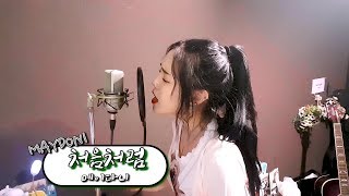 메이다니(MAYDONI) - 처음처럼 [Like the First Time] _Live_Request