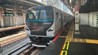 E257系2000番台宮オオNA-04編成　特急踊り子号　東京駅発車