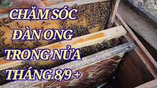 THáng 8/9 việc làm cho đàn ong