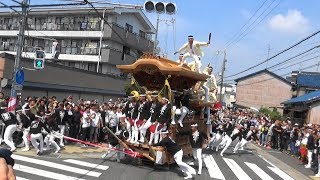 鳳連合 富木修理入魂式お披露目曳行 2018.06.03