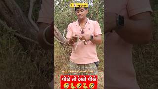 पीछे तो देखो पीछे 🐍🤣🐍🤣🐍। L लग गए। cobra in behind #shorts #youtubeshorts #viral