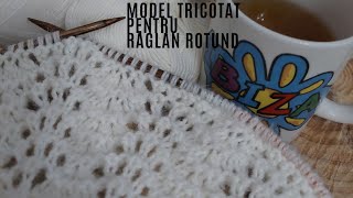 •☆Model tricotat pentru raglan rotund ☆•