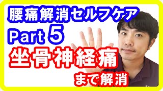 腰痛ケアPart5 坐骨神経痛まで改善できる知っておかないと損な方法【腰痛1分で劇的改善セルフケア講座】