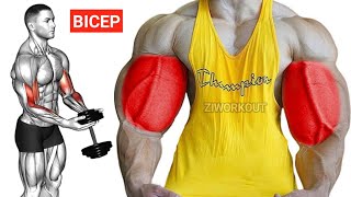 Bicep Workout With Dumbbells | Bicep Exercises | Arms Workout