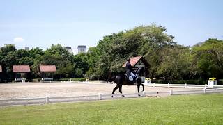 CDI3* - reprise PSG - Mauro Pereira da Silva Junior/Don Enrique AMM