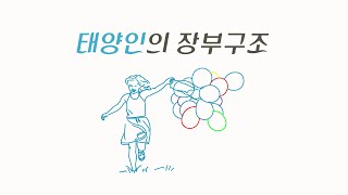 태양인장부구조,  太阳人账簿结构, 태양인의 체형 및 성격, 太阳人的体型及性格, 태양인의 건강과 질병, 太阳人的健康与疾病, 태양인의 음식,太阳人的饮食