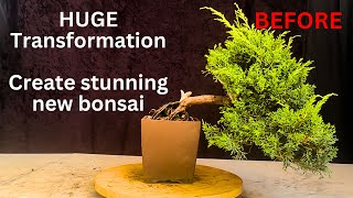 HUGE Bonsai Transformation! Shimpaku Juniper Goes from Plain to Masterpiece! 🌿🔥