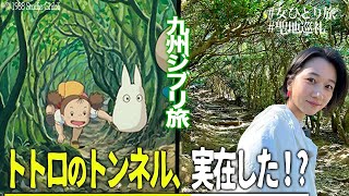 ［Anime pilgrimage］My Neighbor Totoro in HUKUOKA