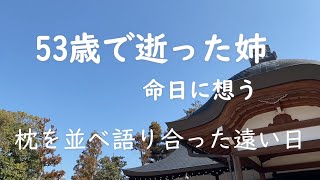 【50代専業主婦vlog】4人目の孫に１カ月ぶりに会う/ガス代減った！/53歳で亡くなった姉の命日に想う/清水寺