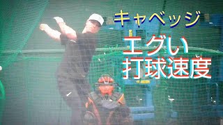 【巨人】トレイ・キャベッジ選手　エリエ・ヘルナンデス選手　フリーバッティング　第3クール2日目　春季宮崎キャンプ　2025年2月12日