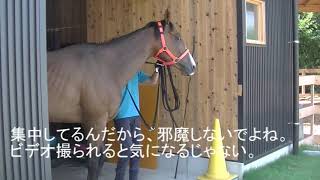 08.24サトノサイベリー・今日の訓練