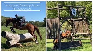 Taking my UPPER LEVEL DRESSAGE horse XC schooling || XC schooling VLOG