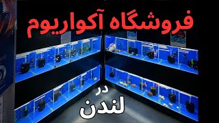 فروشگاه آکواریوم در ( لندن )       Fish Planet Shop in London