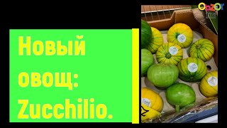 Obzor TiVi: обзор на новый экзотический овощ: Zucchilio (Цукилио)