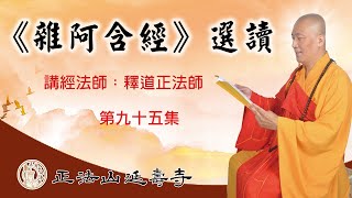 正法山延壽寺開山住持釋道正法師開示《雜阿含經》選讀第九十五集