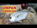 Softlure Andalan Berulah Lagi