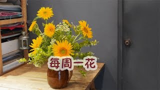 【大叔说花】每周一花/向日葵洋甘菊女贞/家庭生活居家花瓶插花