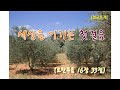 [설교조각] 세상을 이기는 첫 걸음. 요한복음 16장 33절