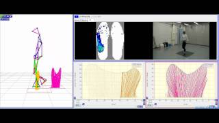 KineAnalyzer解析画面 [ 3D + 床反力 + 足圧計 ]