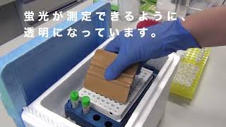 臨床検査の紹介：PCR検査　〜遺伝子を調べる〜