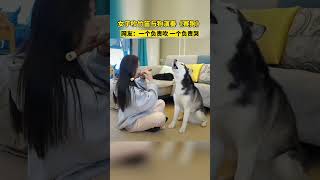 女子吹竹笛与狗演奏《赛狗》，网友：一个负责吹 一个负责哭#狗狗的心思都写在脸上了#Shorts#youtubeshorts