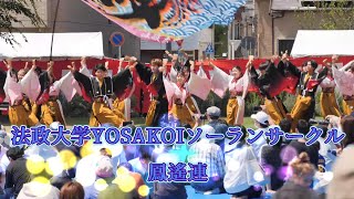 法政大学YOSAKOIソーランサークル　鳳遙恋　湘南よさこい祭2023（第18回）2023年6月4日（日）