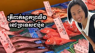 Visiting Japanese port market before Typhoon | ទៅលេងផ្សារកំពង់ផែនៅប្រទេសជប៉ុនមុនព្យុះទីហ្វុងមកដល់