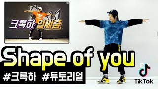 틱톡 인싸춤 Shape of you 크록하 배우기ㅣ춤선생 Simba