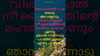 വിശ്വസിച്ചാൽ നീ ദൈവത്തിൻ്റെ മഹത്വം കാണും❄#bible words❄#john 11.40❄ #shorts