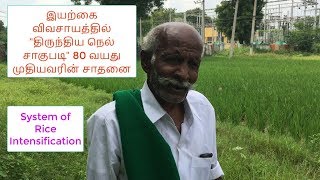 இயற்கை விவசாயத்தில் திருந்திய நெல் சாகுபடி சாத்தியமா?? | System of Rice Intensification!!