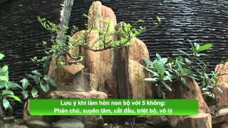 Thiết kế hòn non bộ trong nhà - Thành Phố Hôm Nay [HTV9 – 26.01.2015]