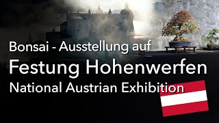 Bonsai - Ausstellung, die Festung Hohenwerfen dient als Kulisse einer besonderen Ausstellung