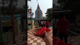 Maa metakani mandir #viralvideos #tranding #shorts  #maasamalei #sambalpuri