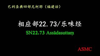 相应部22.73 (SN22.73)