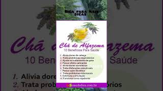 os benefícios do chá da alfazema #dicas #naturais #flores