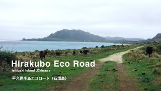 Hirakubo Eco Road / 平久保半島エコロードドライブ（石垣島）