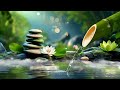 Relaxing Sleep Music with Water Sounds • Peaceful Ambience for Spa, Yoga and Relaxation, Zen Music