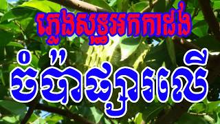 ចំប៉ាផ្សារលើ - Chom pa psa ler - អកកាដង់ភ្លេងសុទ្ធ១០០% - Karaoke khmer 2018