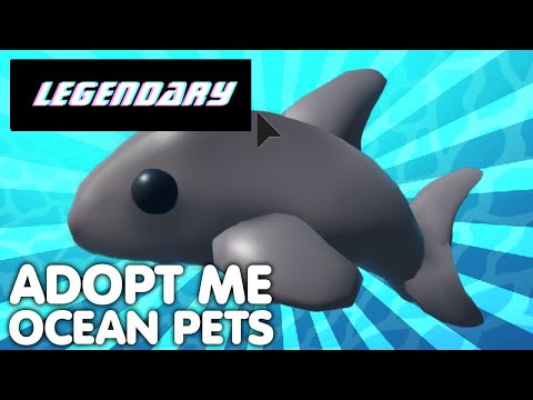 How To Hatch Legendary Pets From The Ocean Egg  Adopt Me!  Shark 