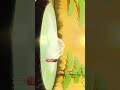 spirited away 千と千尋の神隠し sen to chihiro no kamikakushi shorts animeedits