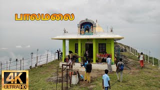 Palamalai Trekking |Part -2 | Sitheswaran Malai | 4K Tamil | Tamil Vlog | 2700 Ft | Mettur