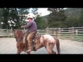Wilderness Packer Program uses Wild Mustangs at the Blackrock Ranger Station Bridger-Teton NF Wilderness Packer Program uses Wild Mustangs at the Blackrock Ranger Station Bridger-Teton NF