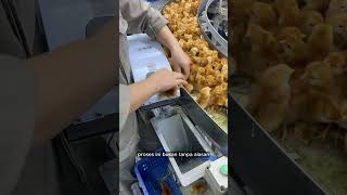 Mengapa Paruh Ayam Petelur Perlu dipotong?